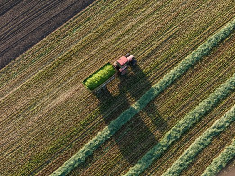 Agricultura